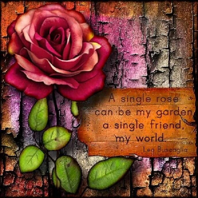 A Single Rose can be my Garden a Single friend, my World. Leo. Single Rose. My friends are in the Garden.