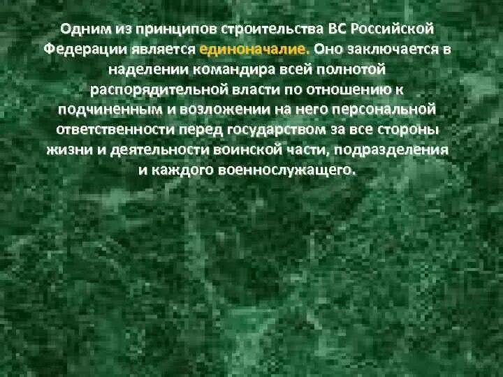 Принципы вс рф. Принципы строительства Вооруженных сил Российской Федерации. Принципы единоначалия в Вооруженных силах. Принцип единоначалия в Вооружённых силах Российской Федерации. Единоначалие принцип строительства Вооруженных сил РФ.