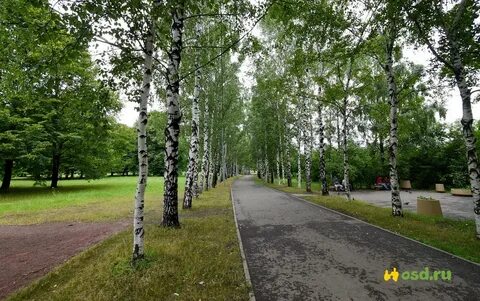 Муром парки