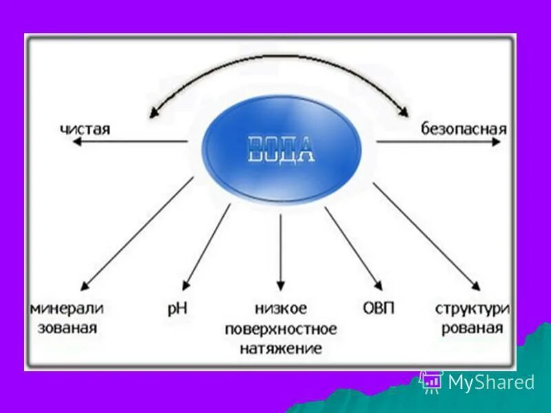 Строганов В., Сухова Т. Природа. Введение в биологию и экологию Газета "Биология