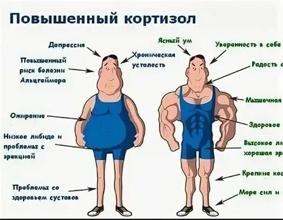 Тестостерон общий это