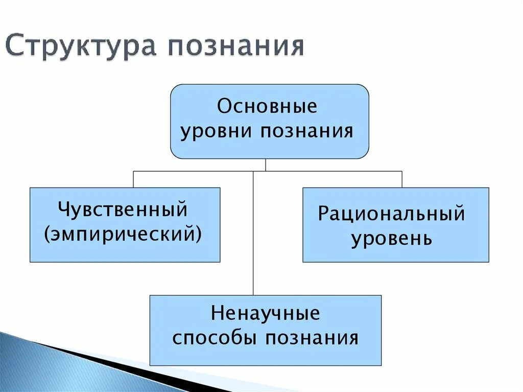 Чувственное рациональное эмпирическое. Структура познания. Эмпирическое и чувственное познание. Чувственный и рациональный уровни познания.