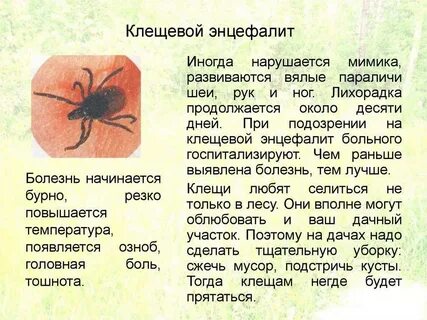 Энцефалит симптомы у собак после укуса