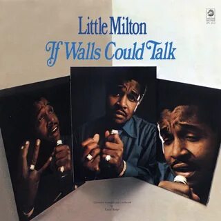 Песня could talk