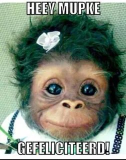 Анал порнодағы бөтелке