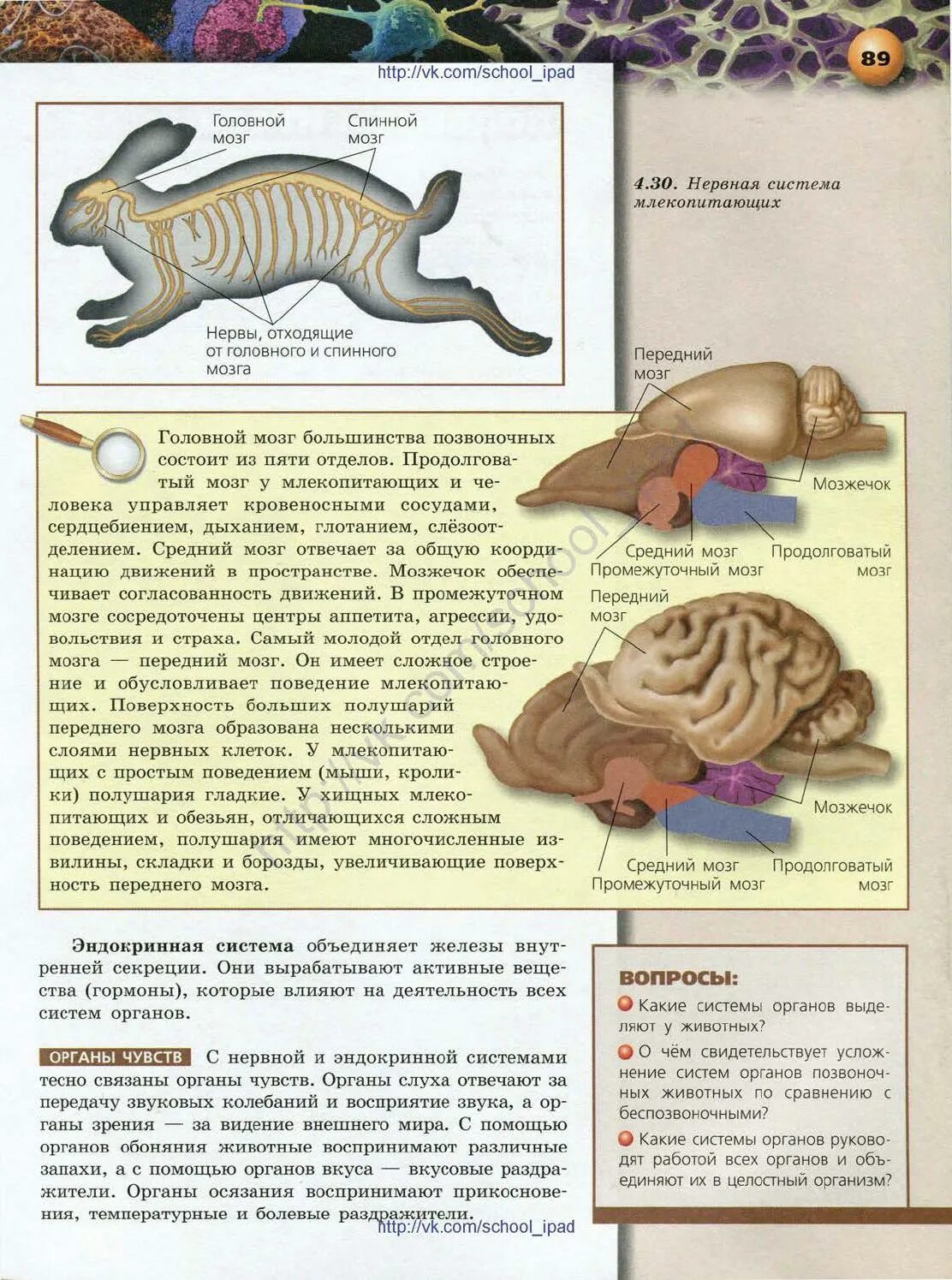 Наиболее развитые отделы головного мозга у млекопитающих. Биология 5 класс Сухорукова. Высшая нервная деятельность в таблице 9 класс Сухорукова. Биология 5 класс Сухорукова оглавление.
