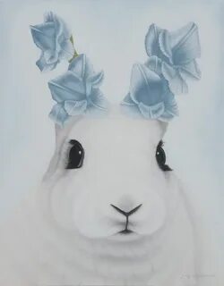 Rabbit original