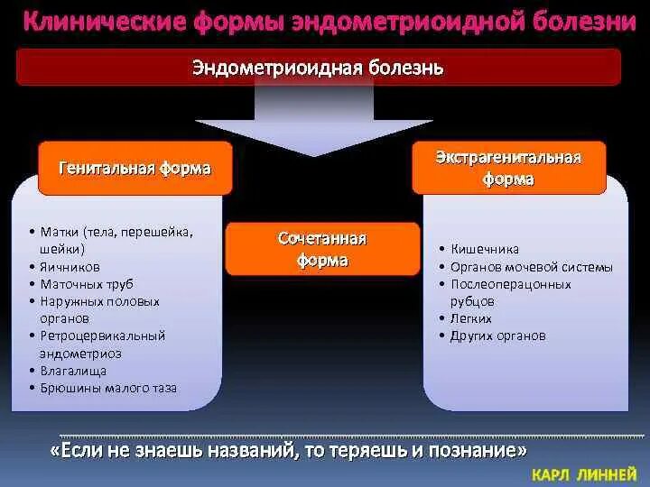 Гениальная форма. Классификация эндометриоидной болезни. Экстрагенитальные формы. Эндометриоидная болезнь. Эндометриоидная болезнь. Патогенез. Классификация. Диагностика..