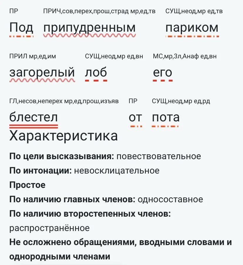 Под припудренным париком загорелый лоб его блестел