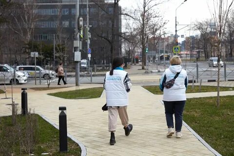 Что будут делать в городе
