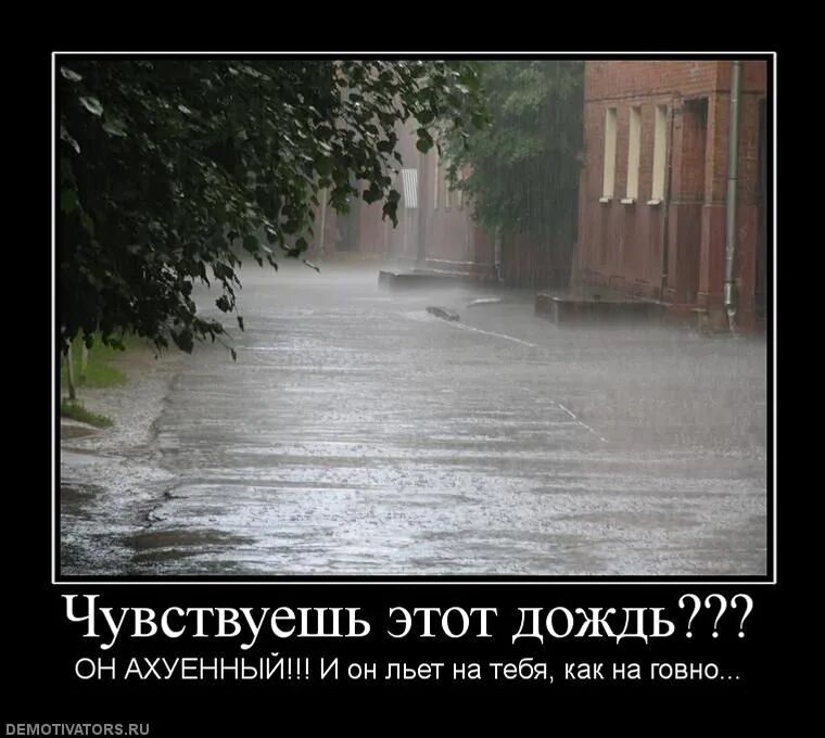 В общем дождя не будет