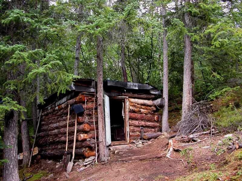 Зимовьё в тайге Хабаровский край. Зимовье охотника в тайге в Якутии. Хижина отшельника Алханай. Зимовье в тайге Приморского края. Тайга таежная жизнь