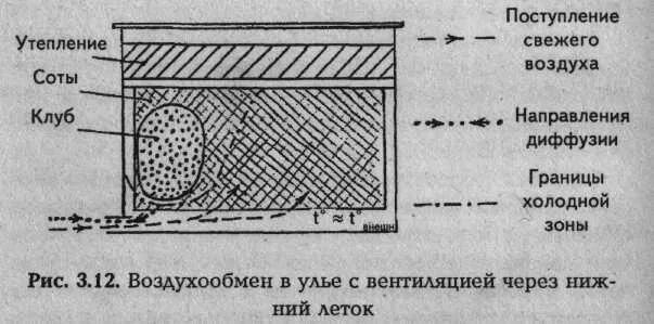 Температура улья пчел. Вентиляция в улье. Температура в улье зимой. Температура клуба пчел зимой. Форма Летка в улье.