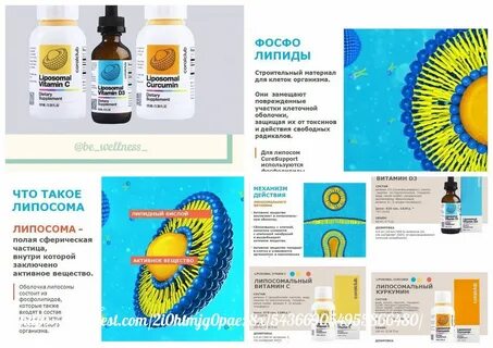 Липосомальный это