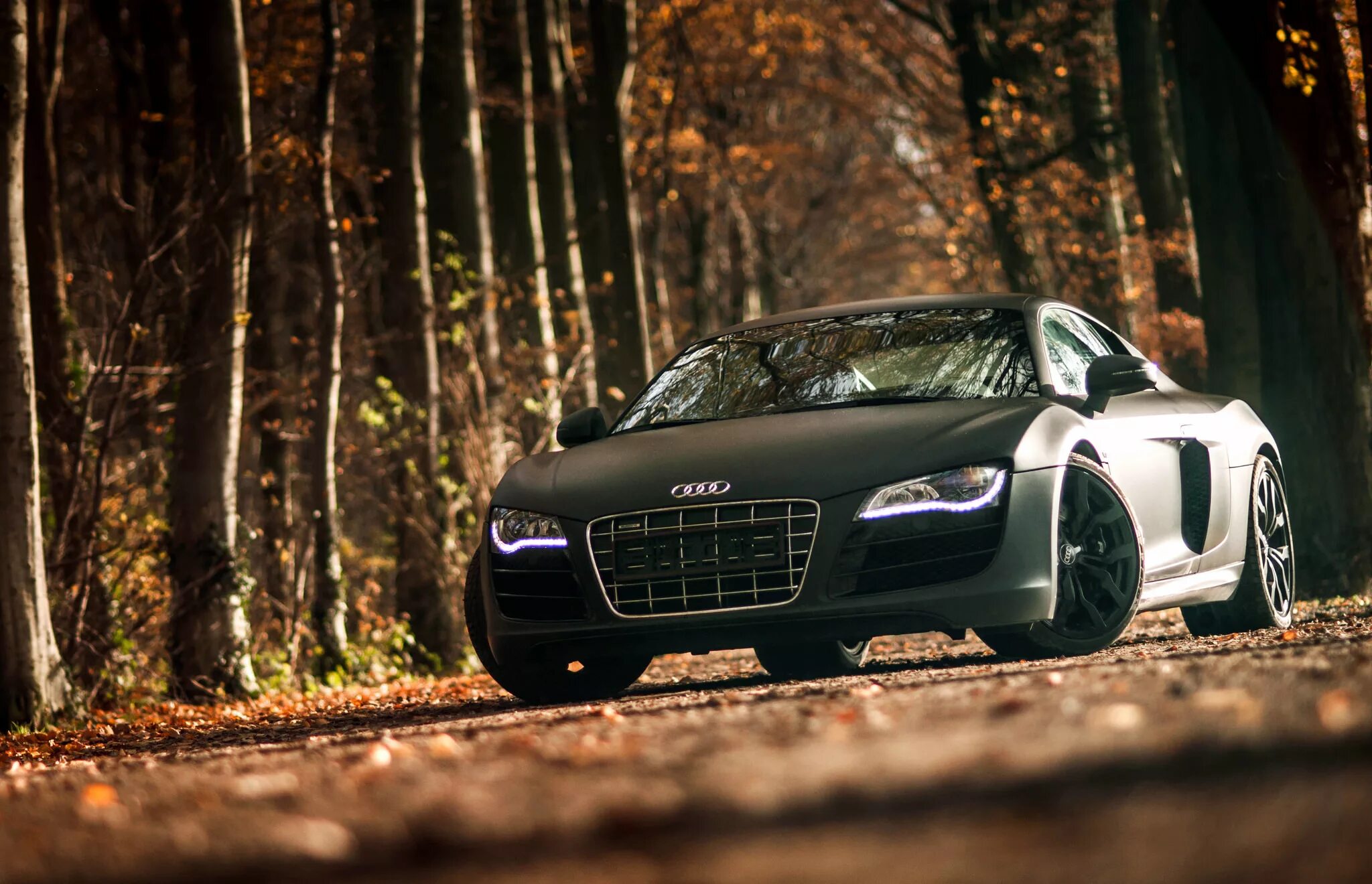Audi r8 v10 plus. Ауди р8. Audi r8 lms. Ауди р8 белая. Audi r8 black.