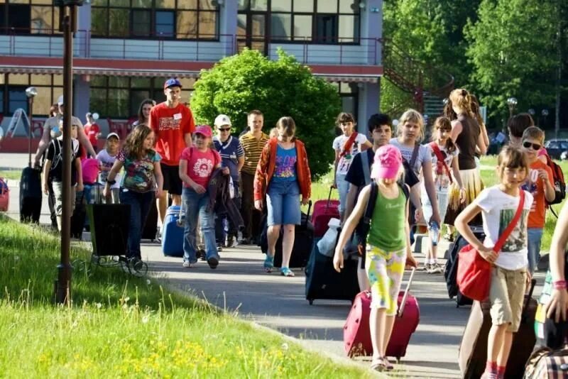 Куда с ребенком на каникулах. Лагерь Евроклуб в Подмосковье. Евроклуб лагерь в Подмосковье красная гвоздика. Сходить в летние каникулы по Москве.