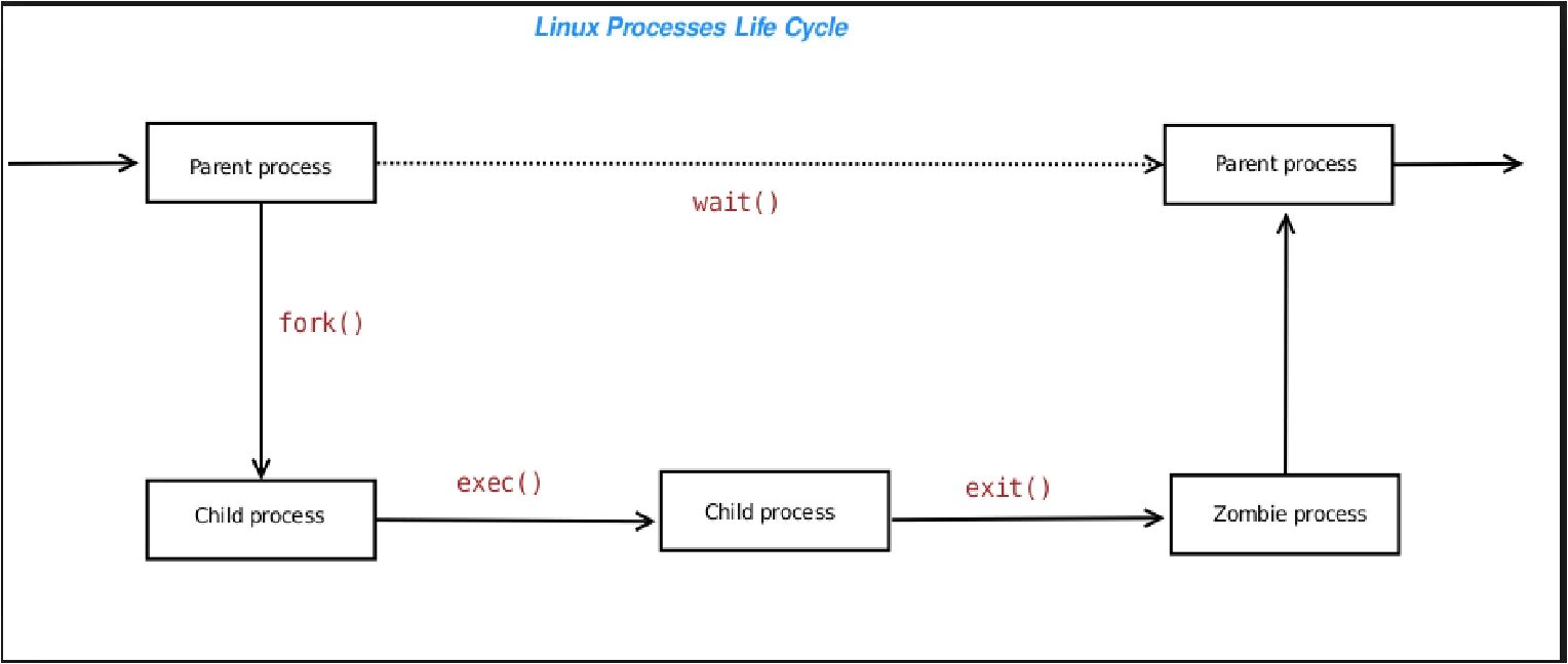 Процессы в Linux. Процессы в ОС Linux. Процессы в Linux и Unix. Состояния процесса в ОС Linux.