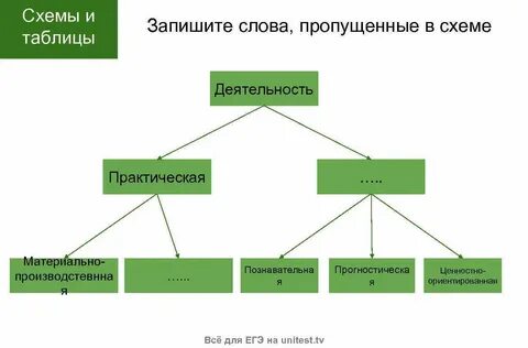Оформите ответ в виде схемы