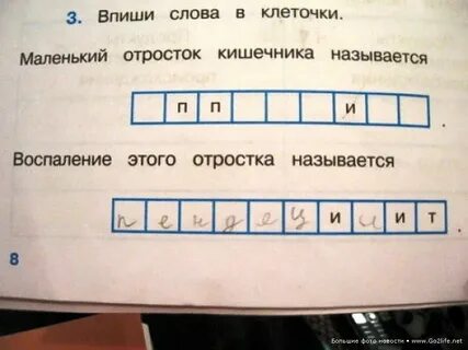 Выпишите в клеточки слова ответы