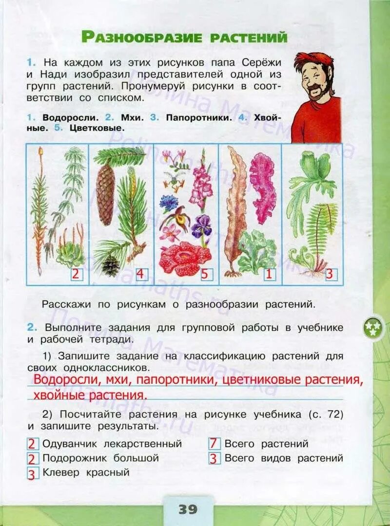Окружающий мир страница 74 задание 3. Окружающему миру 3 класс плешаков рабочая тетрадь мир растений. окружающий мир 3 класс рабочая тетрадь стр 39 номер 1 плешаков. окружающий мир плешаков 3 класс стр 39.