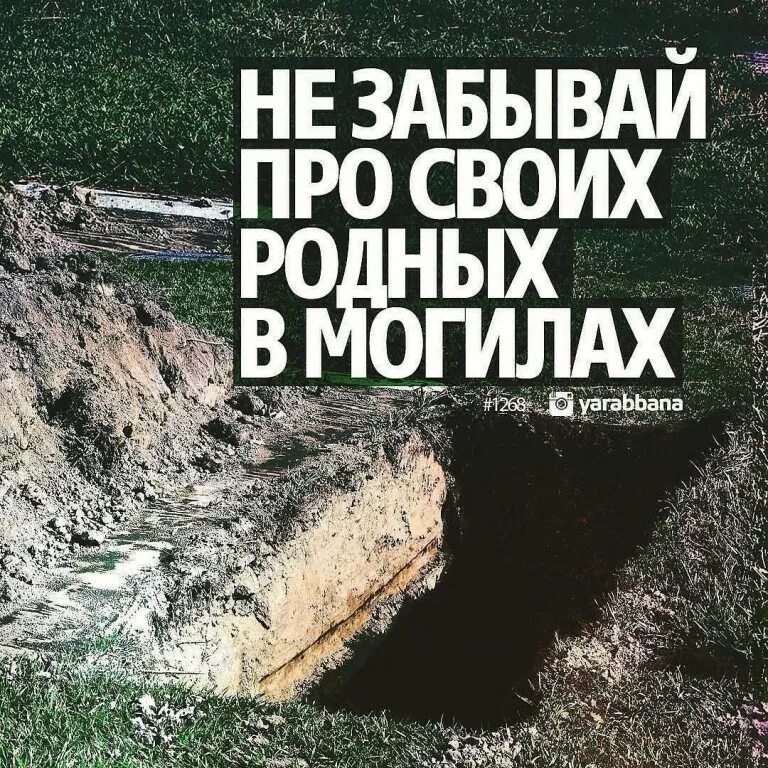 Хадис про умершего. Хадисы про детей. Мусульманские хадисы. Красивые хадисы. Цитаты про ислам.
