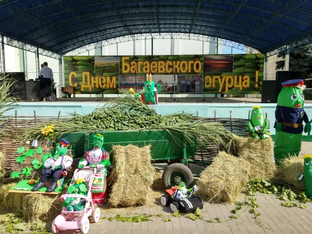 День огурца ростов. Багаевский район станица Багаевская. Праздник огурца Багаевская. Багаевка день огурца. День огурца в Багаевской 2021.