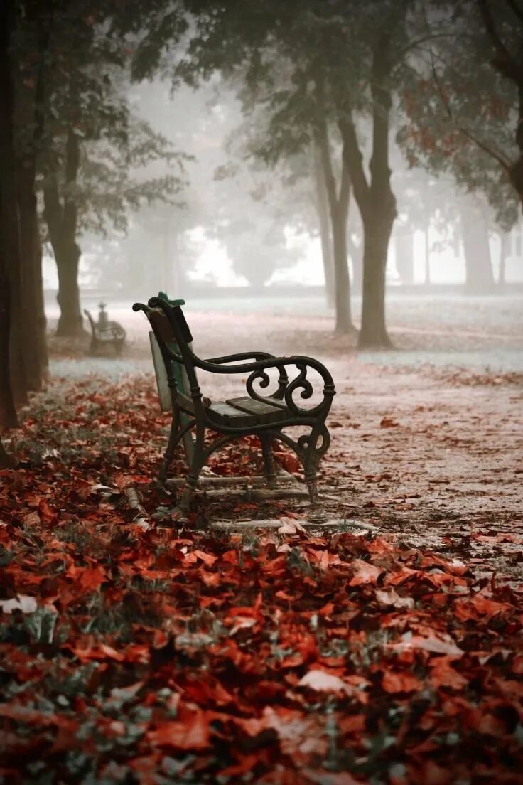 Осень грустит. Осень грусть. Грустная осень. Осень одиночество. Осенняя печаль.