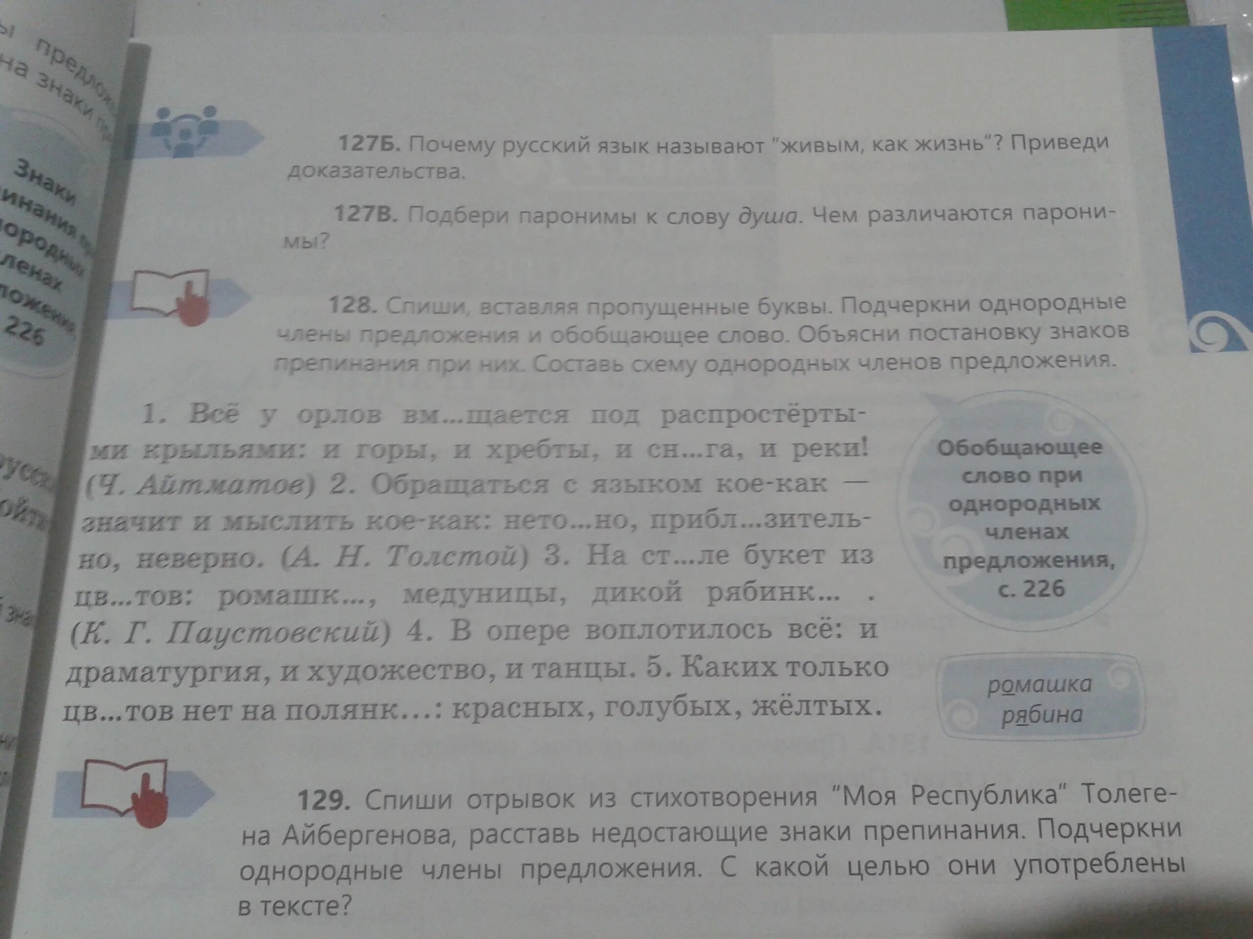 Живой язык перевод. Почему язык называют живым. Русский язык живой как жизнь. Почему мы называем язык живым. Почему русский язык называют живым как жизнь.