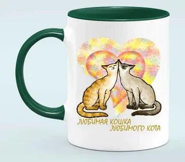 За что я люблю свою кошку