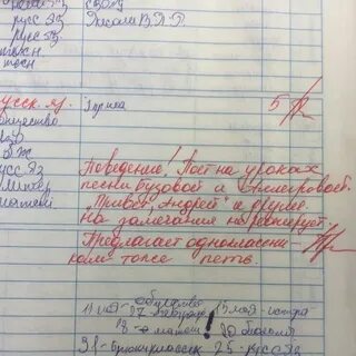 Учитель пишет в дневник