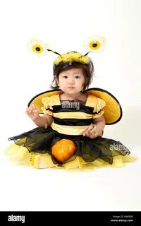 Baby wearing bee costume is ready for Halloween Stock Photo. bulldog wearin...