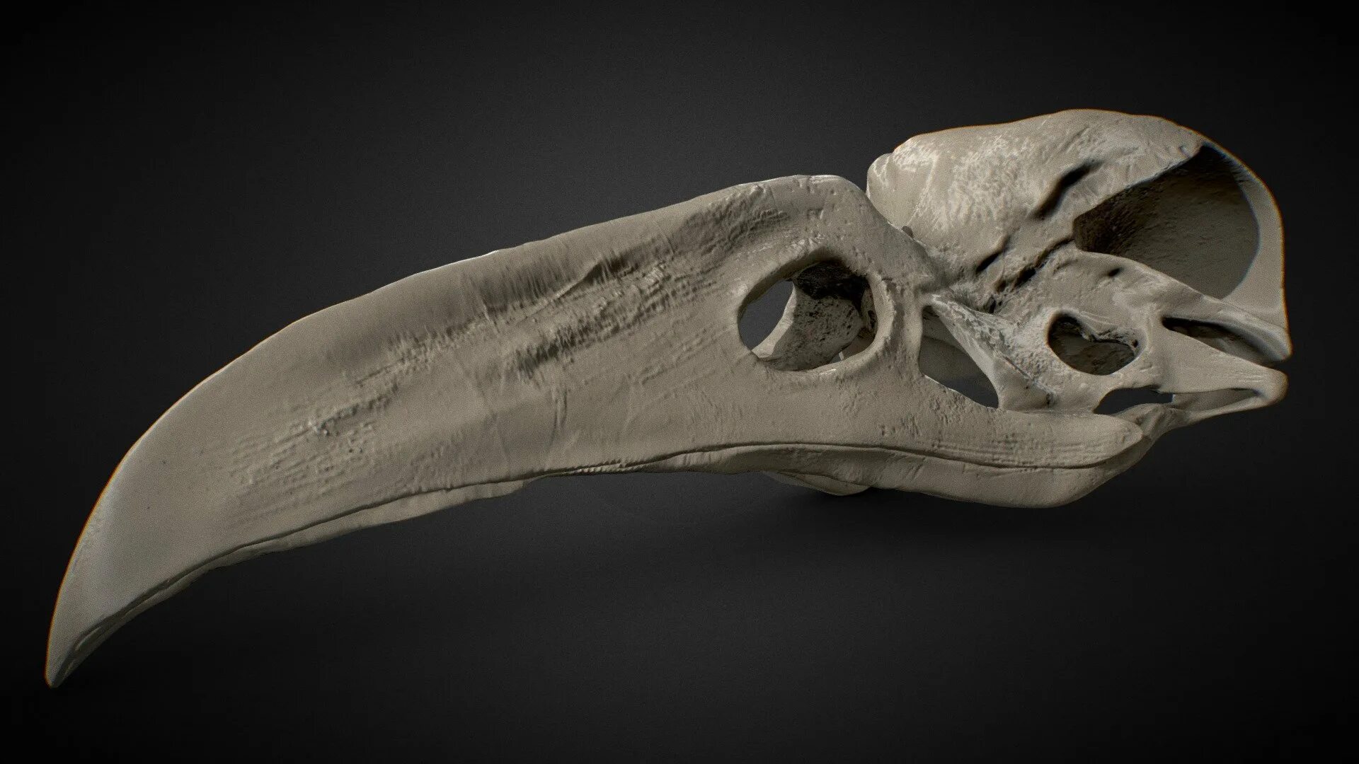 Скелет рыбы удильщика. Скелет рыбы. Схема расположения костей в черепе костистой рыбы. Зд модель череп животного. Череп три рыбы.