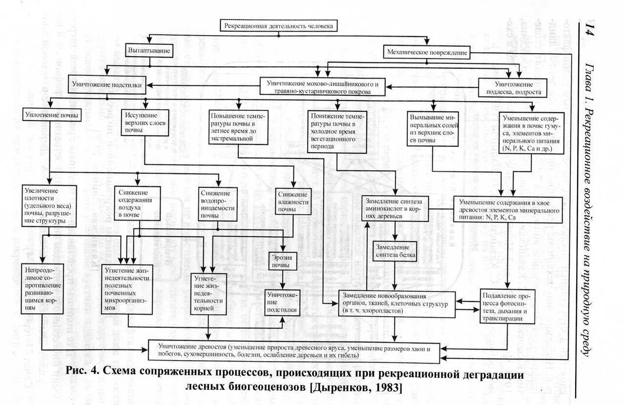 Рекреационные структуры. Виды рекреационной деятельности. Экологические последствия рекреационной деятельности. Классификация видов рекреационной деятельности. Схема рекреационной системы.