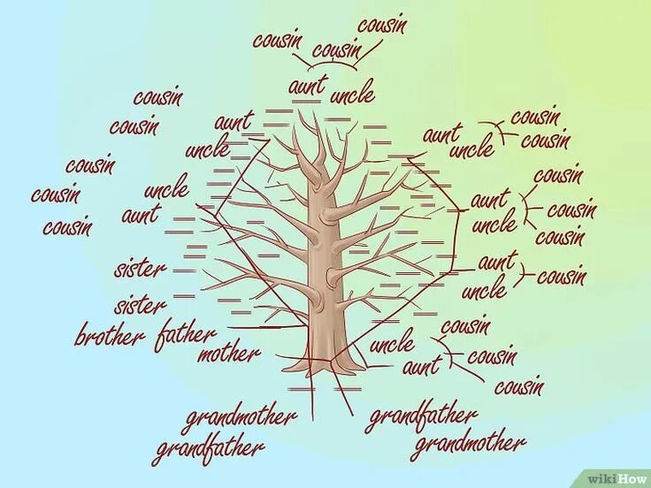 Tree style перевод