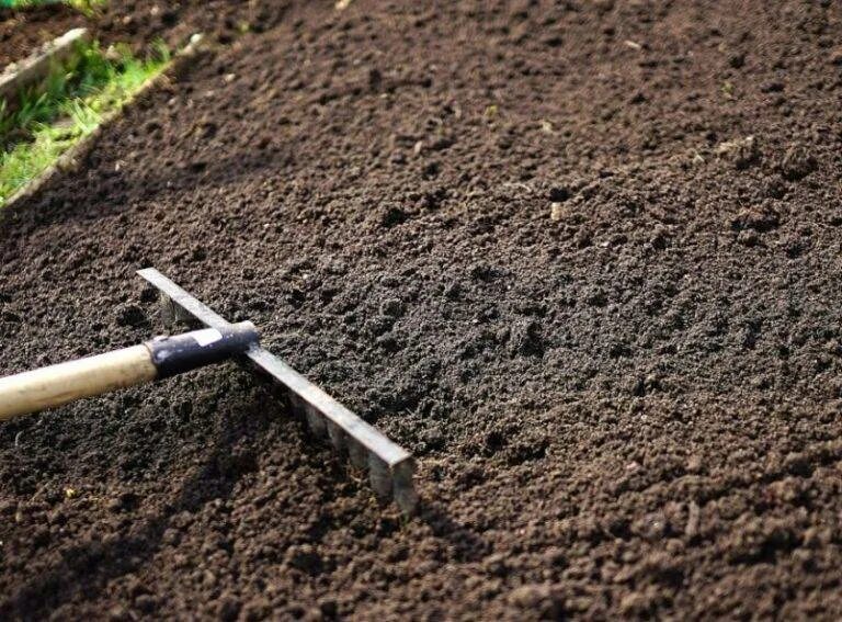 Лучшее место для посадки. Подготовка почвы к посадке. Предпосадочная подготовка почвы. Подготовка земли к посеву. Рыхление почвы.