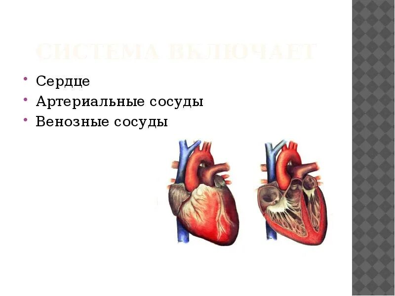 Включи сердце. Как включить сердце. Сердце ад Макс 185.