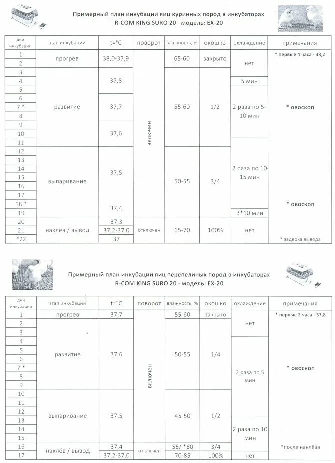 Инкубатор несушка инкубация куриных таблица. Таблица инкубации в инкубаторе Несушка. Инкубация несушек таблица. Таблица инкубации цыплят куриных. Режим инкубации куриных яиц таблица.