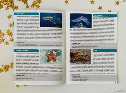 В чем состоит особенность поля мемо