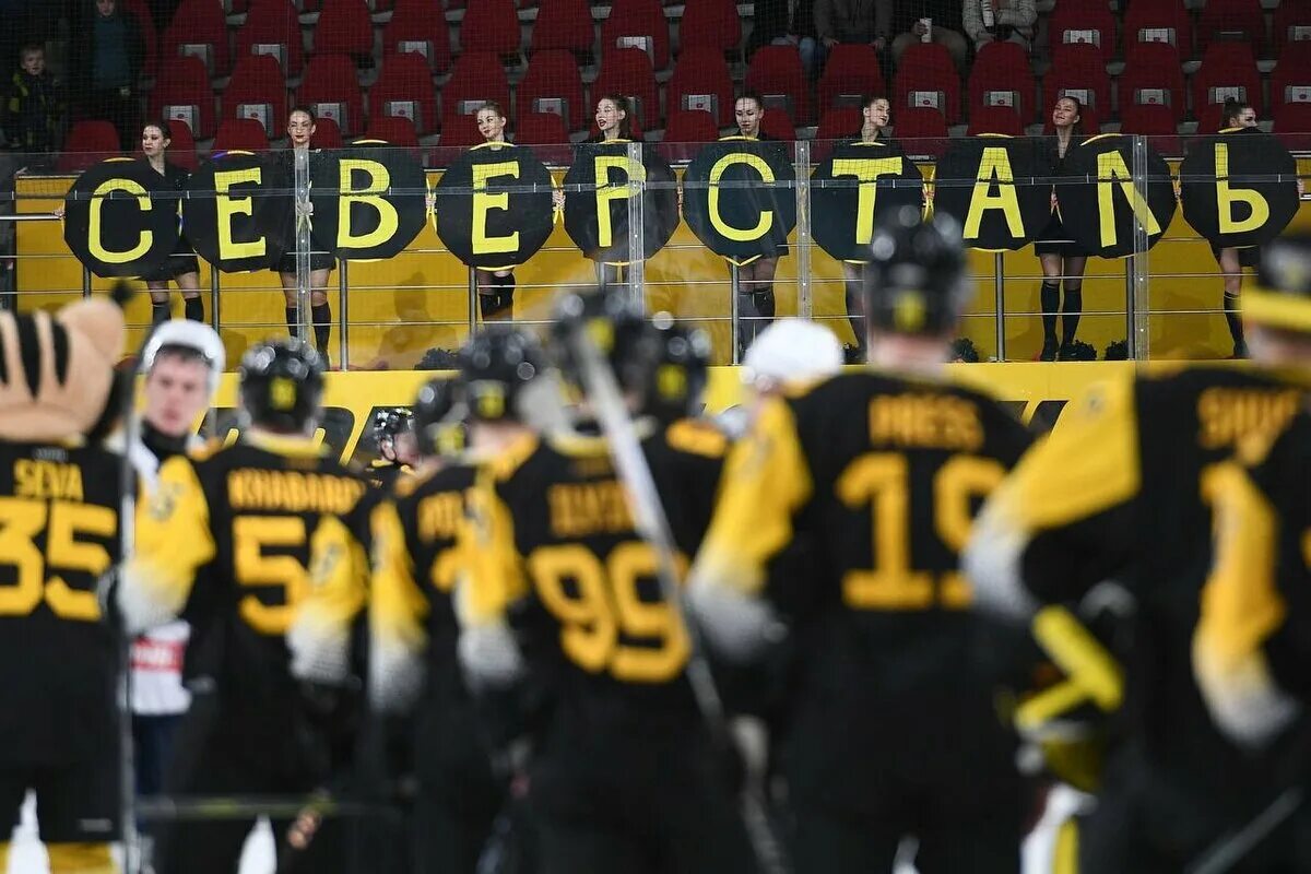 Торпедо северсталь. Северсталь 2022 и 2023. Вратарь авангарда 2022. Хоккейный клуб сочи. Кхл.