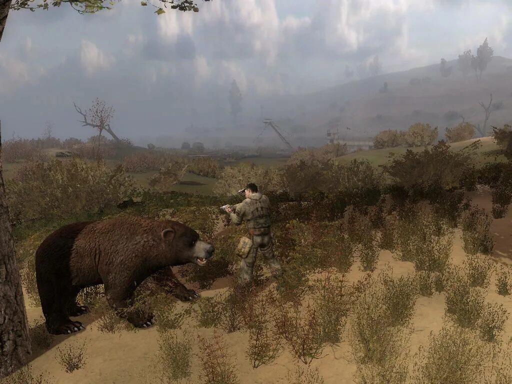 Где в стей аут найти медведей. Игра медведь. Беар симулятор. Super bear где найти медведя. Псевдомедведь сталкер.