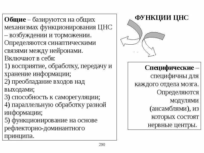 Функции ЦНС. ЦНС, ее основные функции.. Функции центральной нервной системы. Общая характеристика ЦНС. Функции центрального отдела нервной системы