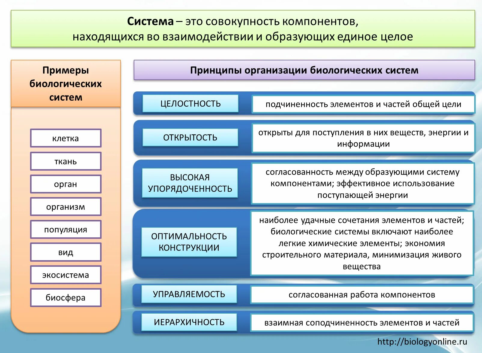 Основные принципы ее организации