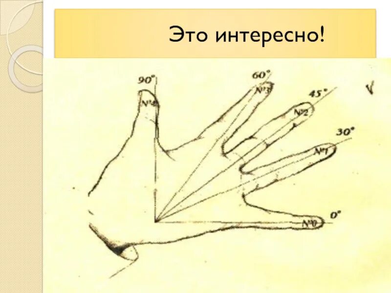 Угол пальца. Тригонометрия на ладони. тригонометрическая ладонь. тригонометрия на пальцах. углы на ладони.