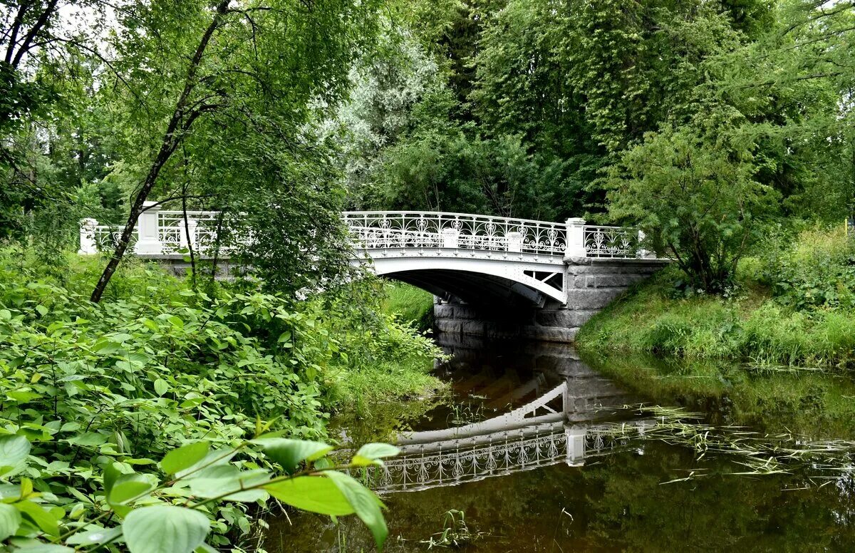 Р кузьминки. Парк кузьминки мост. река лососинка петрозаводск. ламские пруды мостик александровского парка. рогожский парк река.