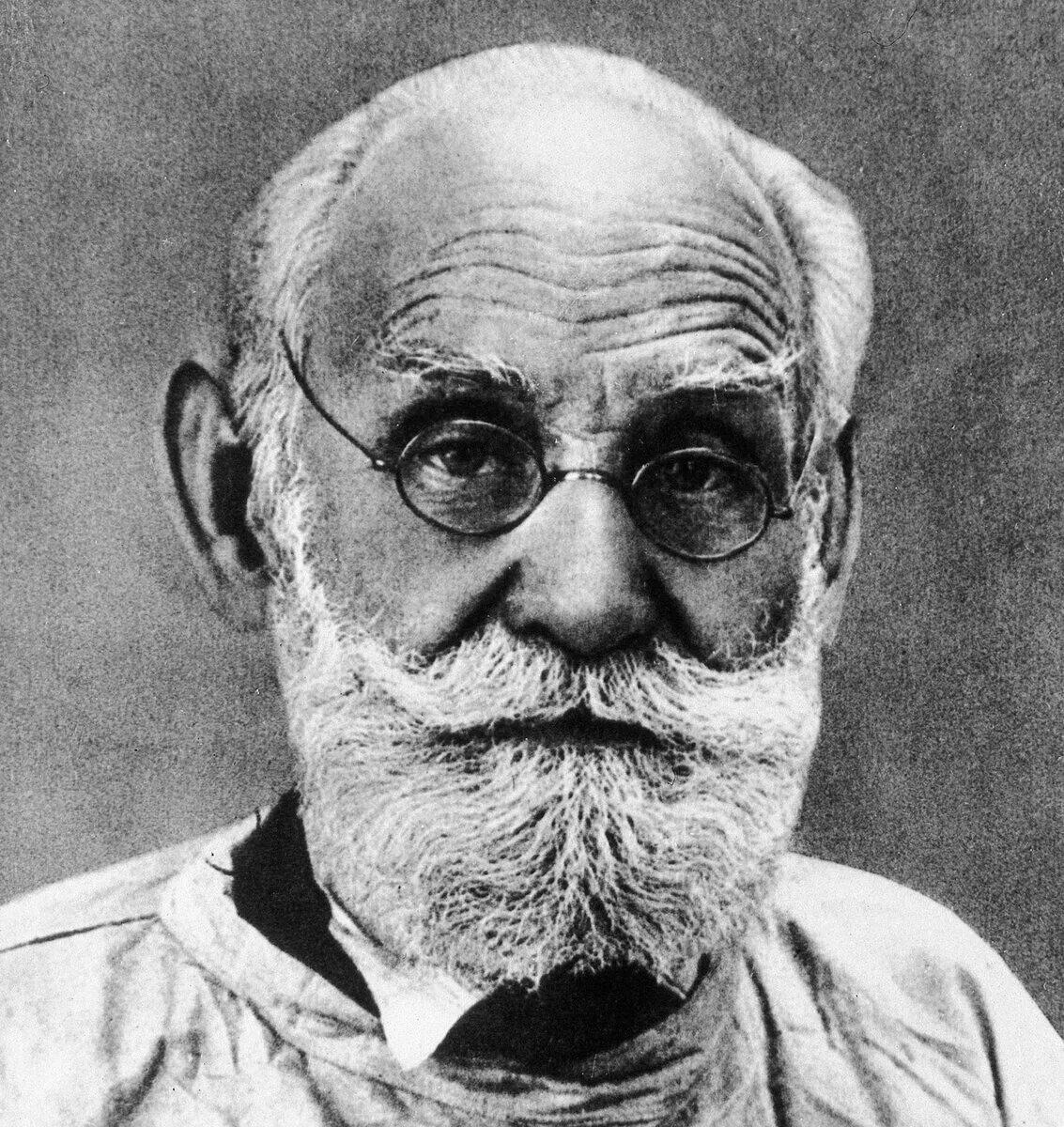 Павлов иван петрович. Физиологи 19 века. Иван павлов ученый физиолог. Физиологи 19 века. Иван петрович павлов биолог.