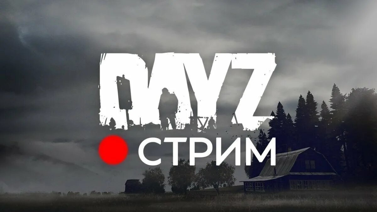 Day стрим. Стрим дайз. стрим по dayz. дейзи превью. dayz картинки.