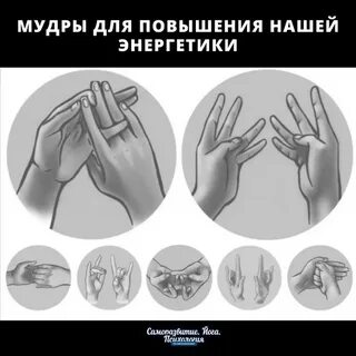Мудра три