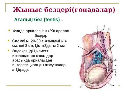 HD милф порно