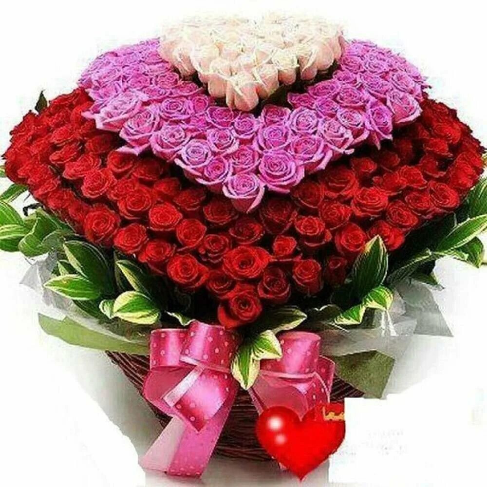 Огромный букет цветов. Огромный букет. Букет сто 1 роза. Большой свети. Огромный красивый букет цветов.