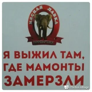Выжил там где мамонты